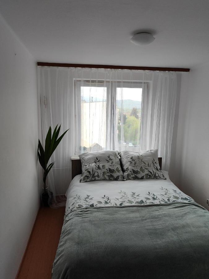 Appartement Apartament Sweet Dreams à Sanok Extérieur photo