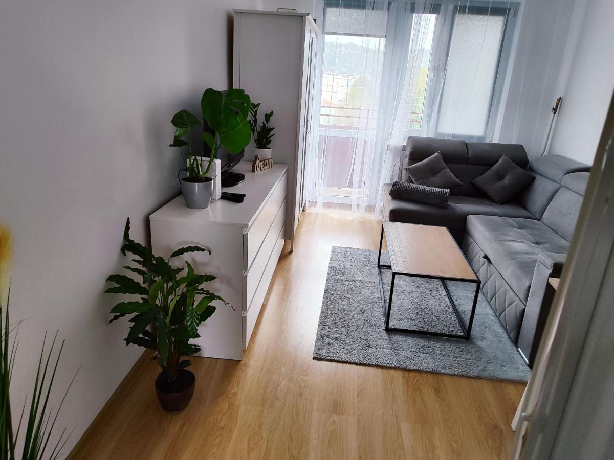 Appartement Apartament Sweet Dreams à Sanok Extérieur photo