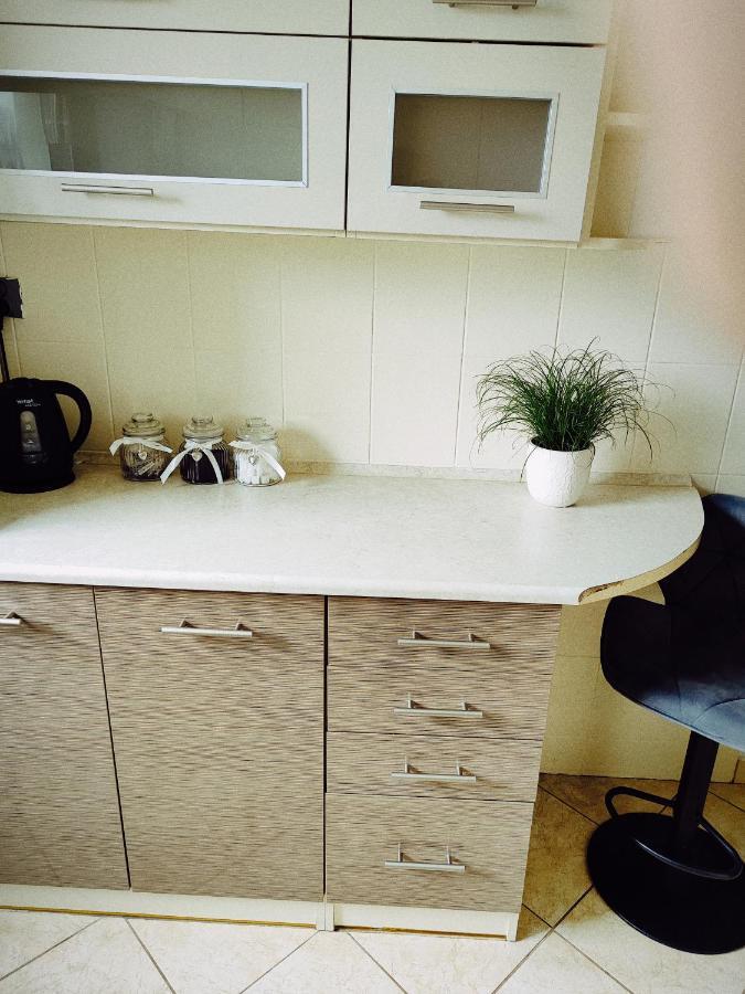 Appartement Apartament Sweet Dreams à Sanok Extérieur photo